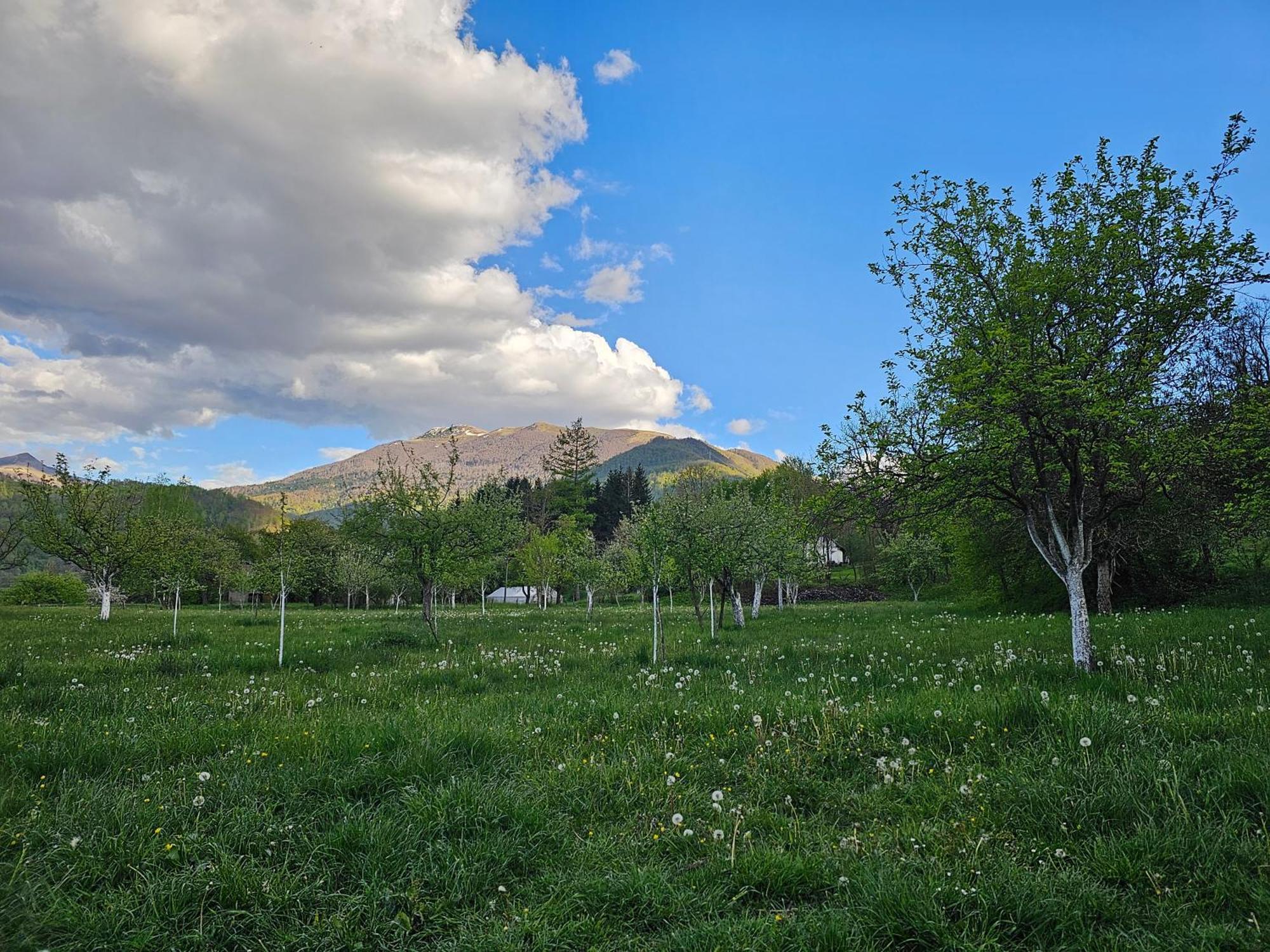 Traditional House Srna Mojkovac Εξωτερικό φωτογραφία